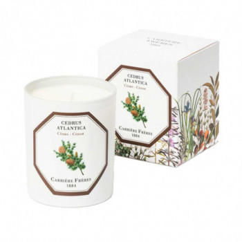 CEDRE SCENTED CANDLE 185g