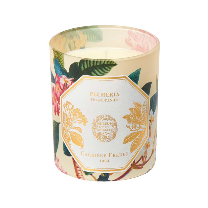 FRANGIPANI SCENTED CANDLE 185g