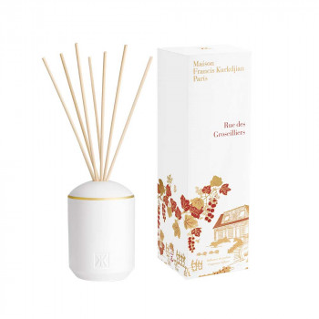 RUE DES GROSEILLIERS DIFFUSER SET (VESSEL + REFILL 300ml)