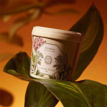 FRANGIPANI CANDLE REFILL 185g