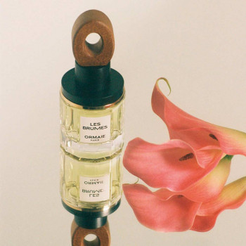 LES BRUMES EDP 50ml