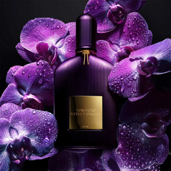 VELVET ORCHID EDP 50ml