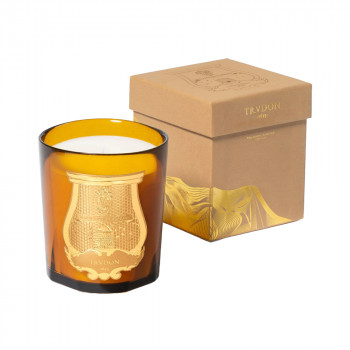 ALTAIR SCENTED CANDLE 270g