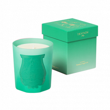 UNDER THE TREES SCENTED CANDLE 270g