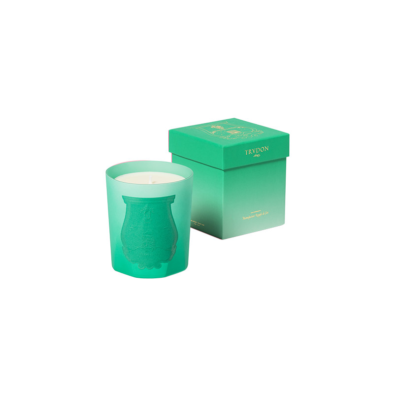 UNDER THE TREES SCENTED CANDLE 270g