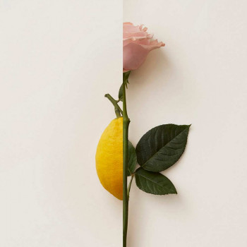 ROSA LIMONE EXTRAIT DE PARFUM 50ml
