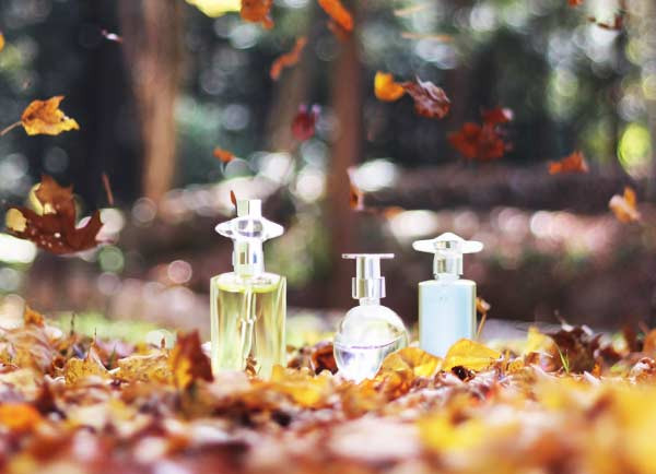 Tendencias de Aromas para el Otoño 2024: Calidez, Sofisticación y Naturalidad