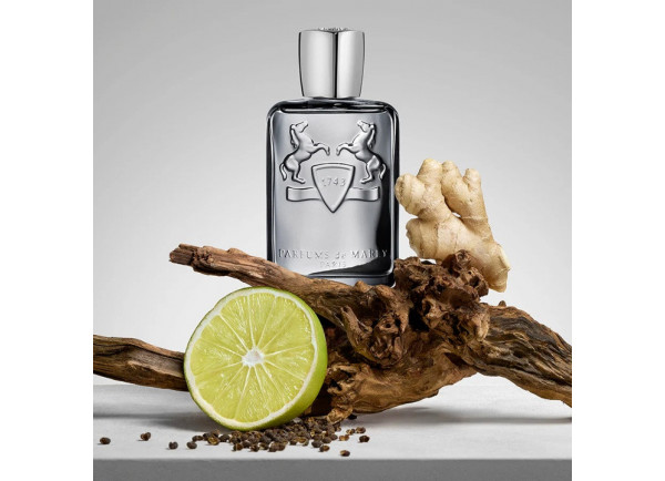 Castley de Parfums de Marly: lujo y aventura en una fragancia masculina